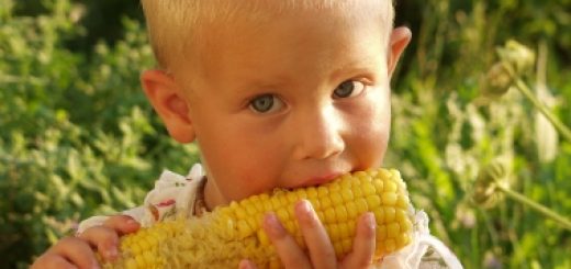 Wywiad: Wpływ GMO na zdrowie dzieci